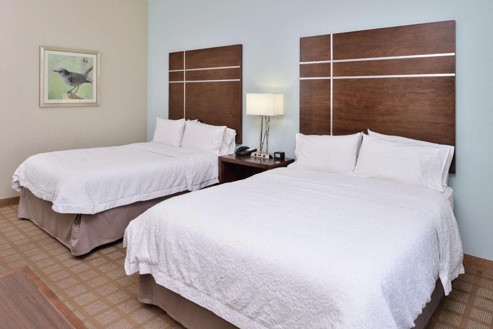 Hampton Inn And Suites Hutto Екстер'єр фото